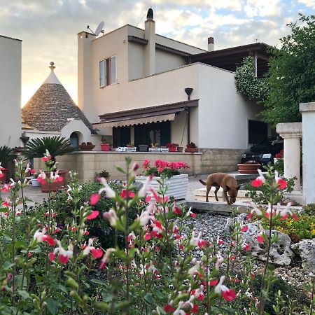 Casa Delle Rondini Bed & Breakfast Алберобело Екстериор снимка
