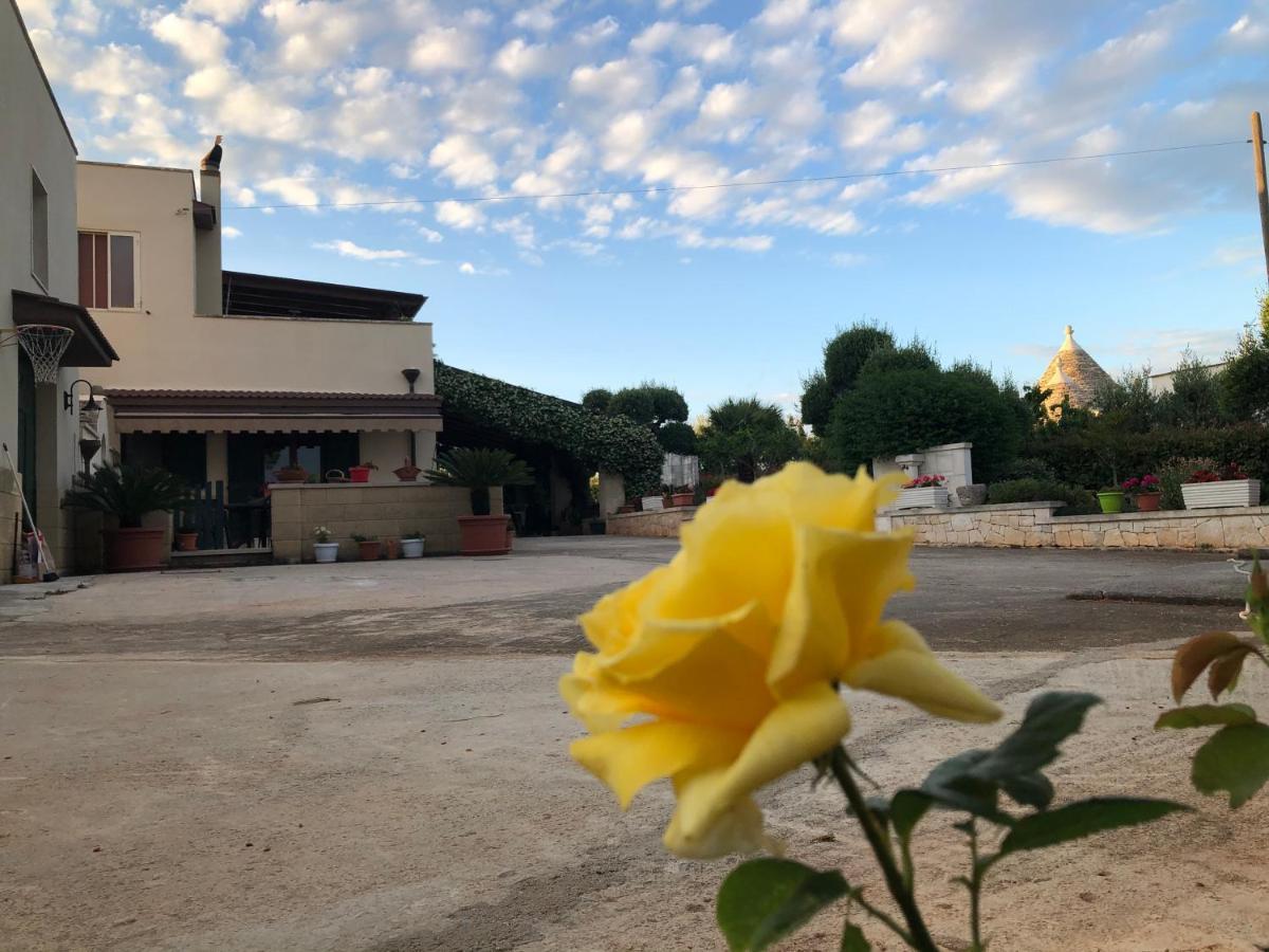 Casa Delle Rondini Bed & Breakfast Алберобело Екстериор снимка