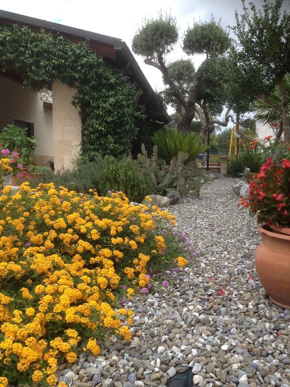 Casa Delle Rondini Bed & Breakfast Алберобело Екстериор снимка