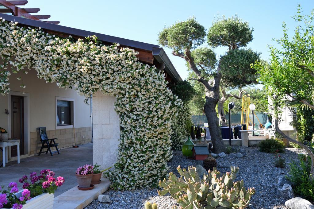 Casa Delle Rondini Bed & Breakfast Алберобело Екстериор снимка